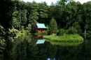 Pałac Mierzęcin - park japoński