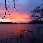 Zachód słońca nad jeziorem Lusowskim
